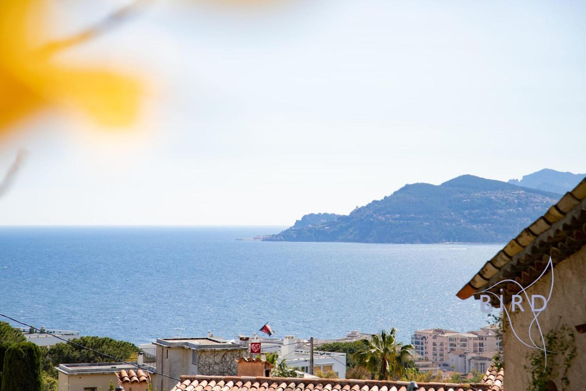 Appartement Atypical Sea View And Swimming Pool *