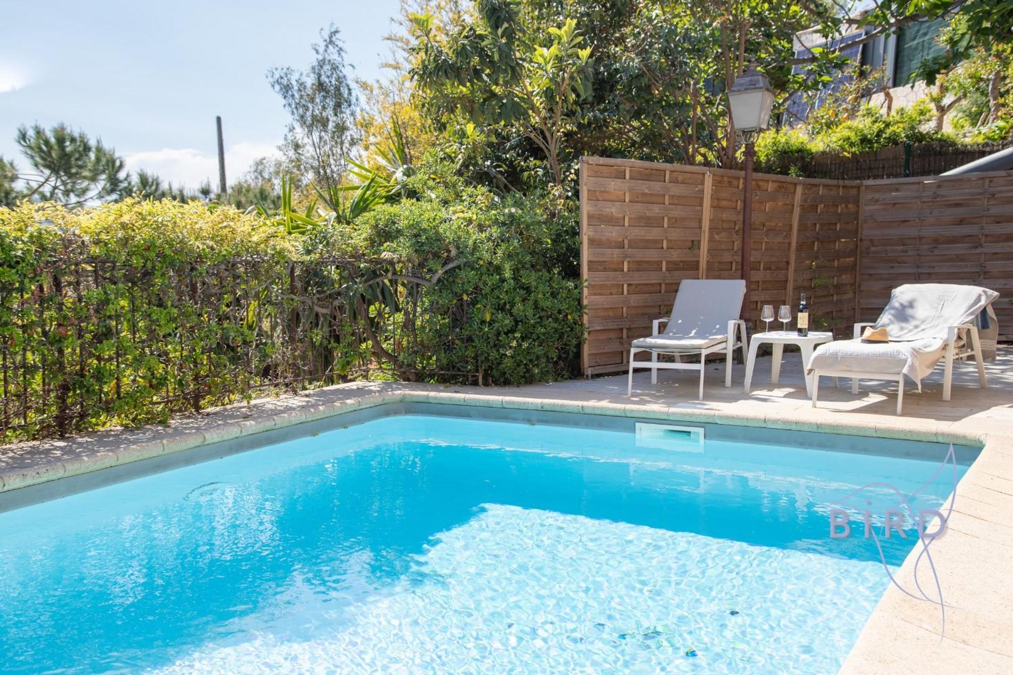 Atypical Sea View And Swimming Pool * Cannes